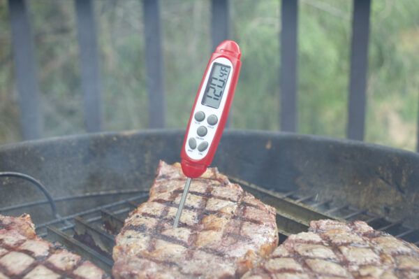 The DT-09 Thermometer in action