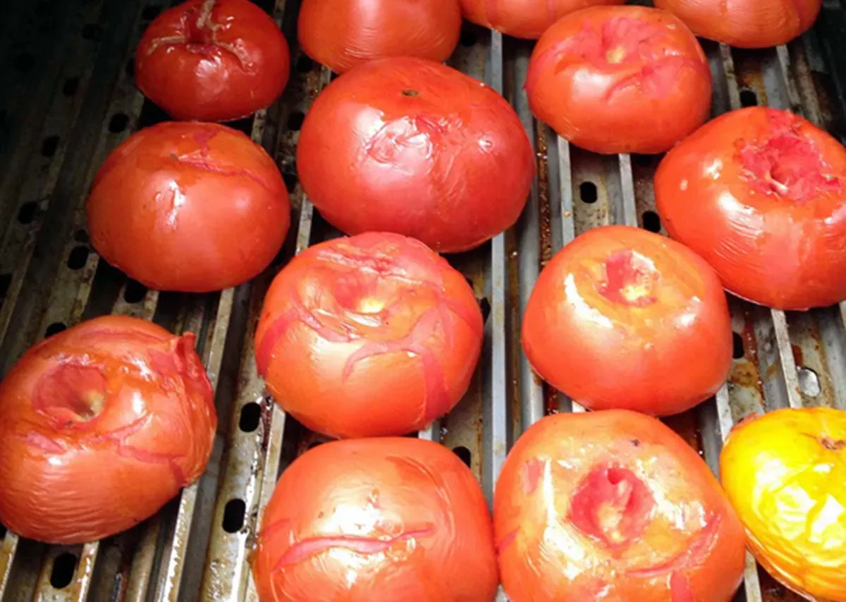 grilled tomato